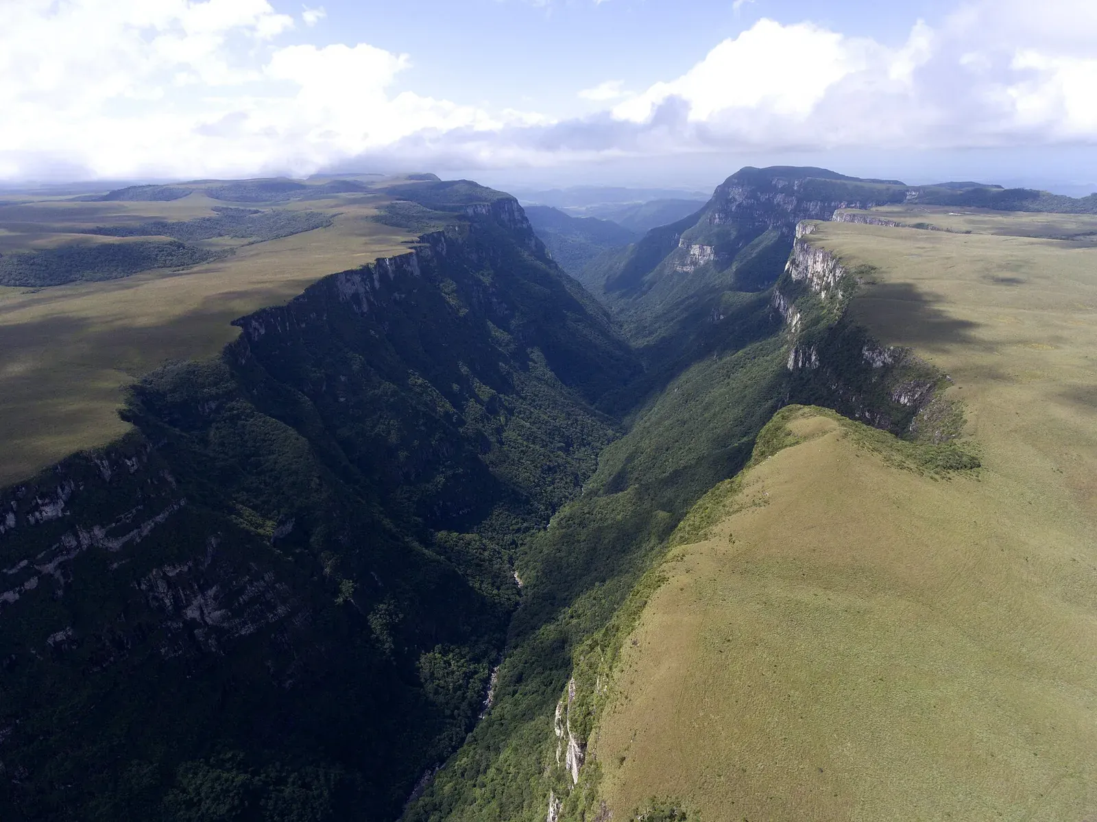 Cânion Fortaleza visto do alto, com os paredões e o campo de cima da serra