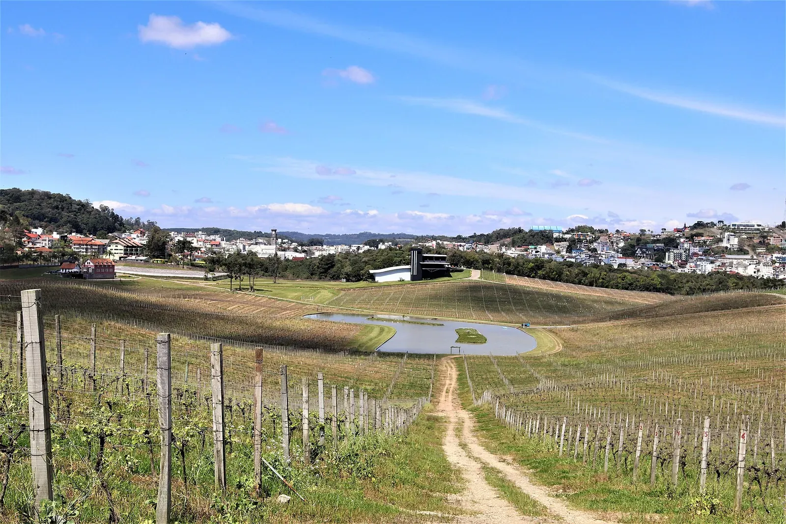 Parreirais e o lago da vinícola Luiz Argenta, com a cidade de Flores da Cunha ao fundo