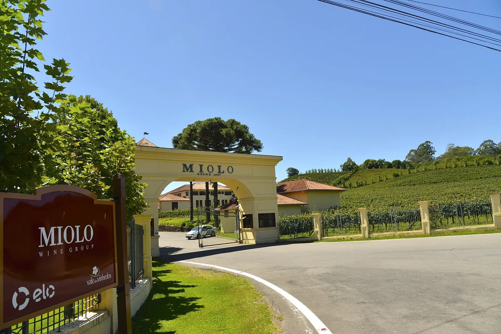 Portal de entrada da Miolo, com a placa da vinícola e parreirais ao fundo