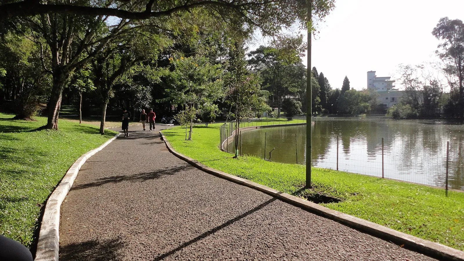 Caminho de pedra entre árvores e o lago do Parque dos Pinheiros