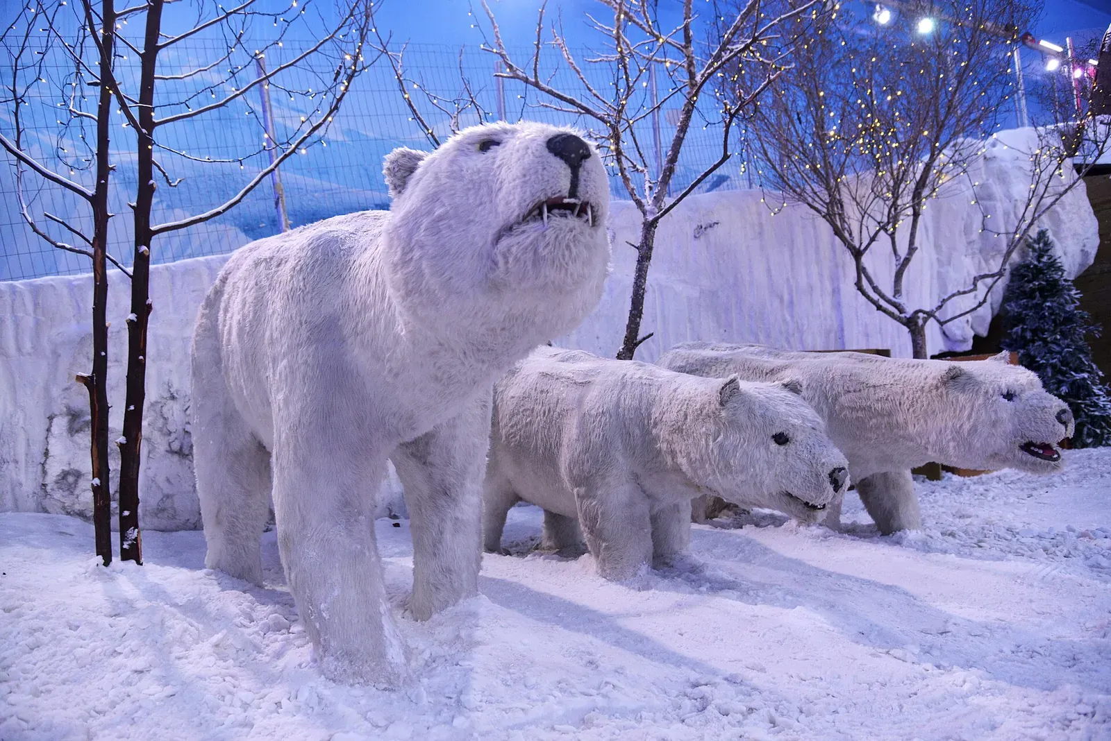 Ursos-polares cenográficos sobre a neve dentro do Snowland